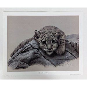 Harold Rigsby Print 1987 SNOW LEOPARD CUB 20 X 16" LIMITED 74/975 Signed